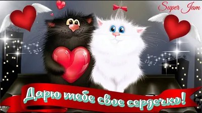 Что подарить девушке, жене или подруге на 14 февраля - все последние  новости на сегодня