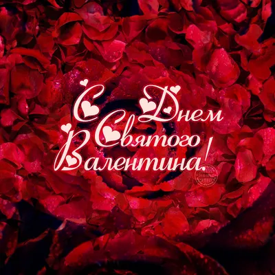 КО ДНЮ ВЛЮБЛЕННЫХ ПРЯНИКИ НАБОР \" Я ❤️ЛЮБЛЮ ТЕБЯ ДО ЛУНЫ \" КУПИТЬ