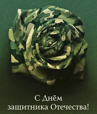 23 ФЕВРАЛЯ - ДЕНЬ ЗАЩИТНИКА ОТЕЧЕСТВА // Администрация Междуреченского  городского округа
