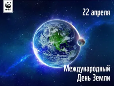 20 марта - Всемирный день Земли | Экологический турист | Дзен