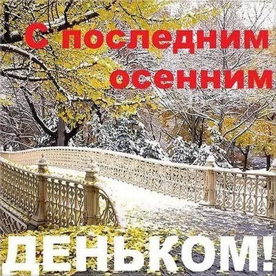 Мой день. worksheet | Live Worksheets
