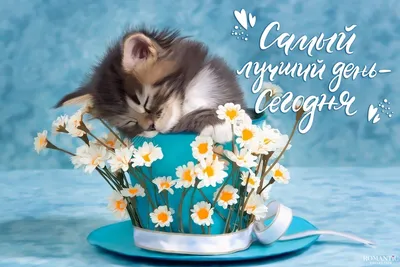 Мой идеальный день – упражнение на практике