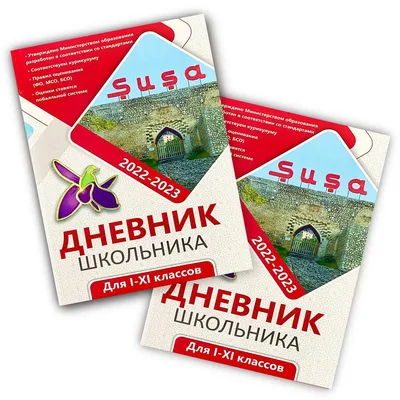 Школьный дневник \"ГРАФФИТИСТ\" для мальчиков