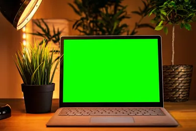 Красивые обои на экран телефона - фото и картинки: 70 штук