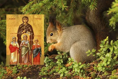 Именины сегодня женские открытки красивые (39 фото) » Уникальные и  креативные картинки для различных целей - Pohod.club