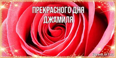 Брелок с именем Джамиля в подарочной коробочке: купить по супер цене в  интернет-магазине ARS Studio