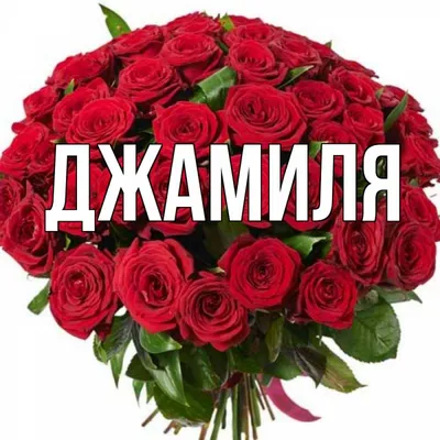 Открытка с именем Джамиля Главная картинки. Открытки на каждый день с  именами и пожеланиями.