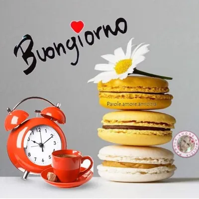 Pin di Cinzia Mangano su Buon giovedì | Felice giovedì, Giovedì, Buongiorno