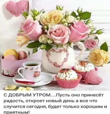 видео доброе утро на итальянском языке｜Поиск в TikTok