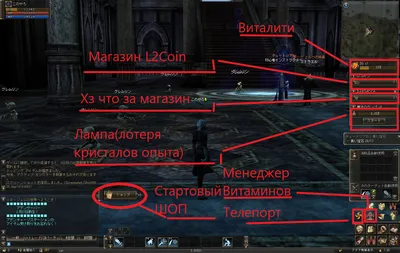 Начало моей жизни в Lineage II [Часть IX] | Пикабу