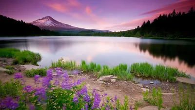 Обои windows 1920x1080, обои windows 7 для рабочего стола