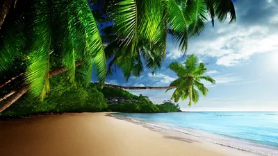 Pin by Lyudmila Parkhomchuk on Summer Wallpapers | Summer wallpaper, Beach,  Water