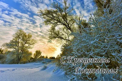 Плейкаст «ღ❤ღПоздравляю с Крещением Господним, Славным праздником мира и  счастья! ...ღ❤ღ» | Крещение, Открытки, Праздник