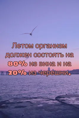 Смешные картинки на летнюю тематику. Хорошее настроение на вторник. БД  юмор. | Бумажный день | Дзен