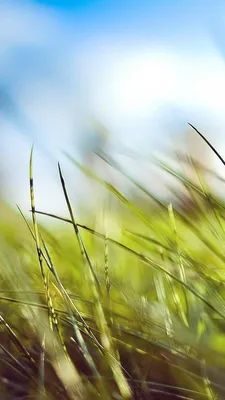 Детские рисунки для срисовки о лете (44 шт)
