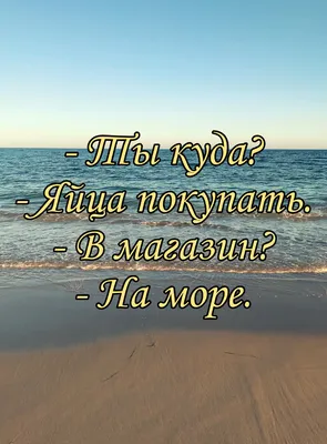 Смешные картинки на летнюю тематику. Хорошее настроение на вторник. БД  юмор. | Бумажный день | Дзен