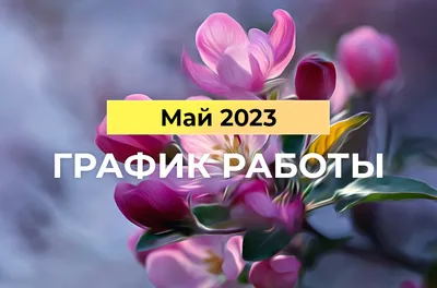 Режим работы в майские праздники • Городская клиническая детская больница №3
