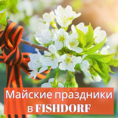Отдых в Ленобласти на майские праздники - снять коттедж на базе отдыха  «Чудское подворье»