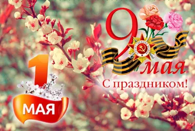 Как отдохнуть на майские праздники без вреда для здоровья? | Управление  Роспотребнадзора по Калининградской области