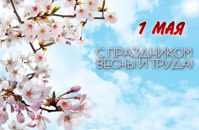 График работы в майские праздники | Чудо-школа Умница