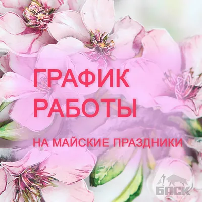 Майские праздники: сколько дней томичи будут отдыхать в этом году