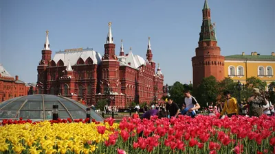 График работы на майские праздники - БАСК