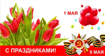 Красочную программу готовит «Орфей» на майские праздники – Тюмень – Центр  культуры и творчества