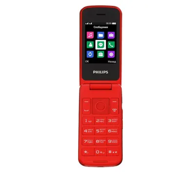 Inoi 244Z купить в Минске с доставкой, цены