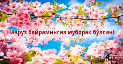 Навруз 2023: красивые новые открытки и поздравления с мусульманским  праздником - sib.fm