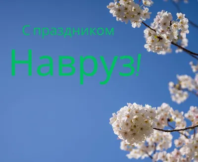 Компания М Булак поздравляет вас с праздником Навруз!