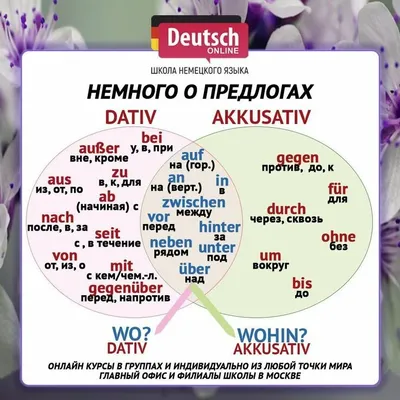 Склонение порядковых числительных в немецком | Числительные, Порядковые  числительные, Немецкий