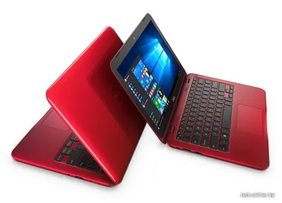 Нетбук Asus Eee PC 1011CX