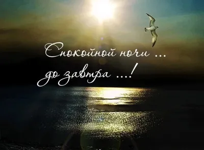 Пожелания спокойной ночи сладких снов любимому мужчине, парню