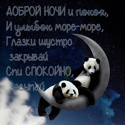 Прикольные и смешные пожелания спокойной ночи