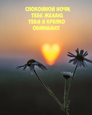 Романтические открытки на ночь с нежными пожеланиями