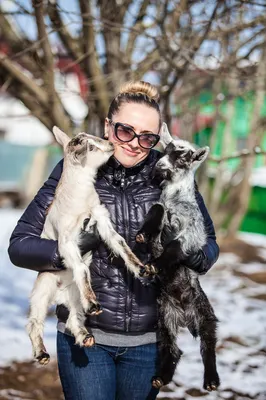 Про Снегурочку, Дедушку мороза и Тверских коз и козлов.. (фото)