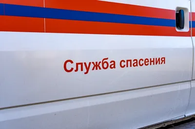 Для Козы - набор свитков Аурасо с предсказаниями в стеклянном фиале,  подарок на день рождения, Новый Год или свадьбу купить по выгодной цене в  интернет-магазине OZON (781209191)