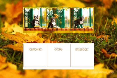 Фотография Шаблон обложки Facebook, Графические шаблоны - Envato Elements