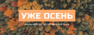 Как установить цифровую обложку на... - Альфа-Банк, Беларусь | Facebook