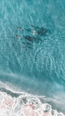 Картинки на обои море фотографии
