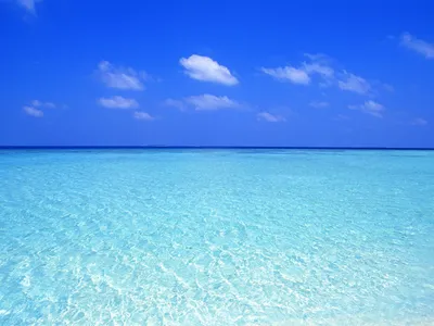 Фотообои \"Море\"