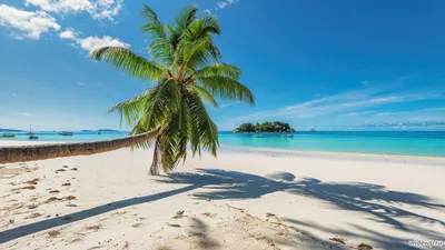 Обои море, рассвет, горизонт, природа картинки на рабочий стол, фото  скачать бесплатно