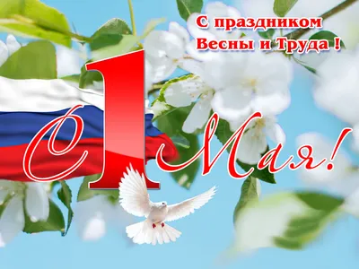Картинки к 1 мая. Как отметить День весны и труда – Canva