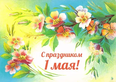 Поздравление главы администрации с 1 Мая - Муниципальные новости - Новости,  объявления, события - Администрация Ленинского муниципального района  Волгоградской области