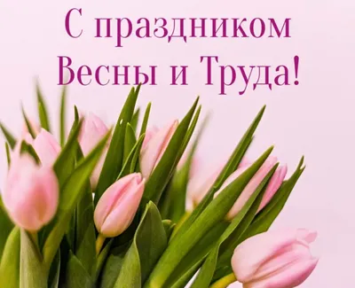 Картинки с 1 Мая: поздравительные открытки с Праздником Весны и Труда - МК  Волгоград