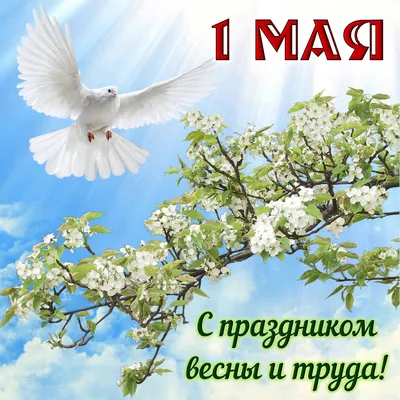 Поздравление с 1 Мая - Муниципальные новости - Новости, объявления, события  - Официальный сайт администрации городского округа Нижняя Салда
