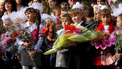 Сахарная картинка для торта \"День знаний - 1 сентября \"Снова в школу\",  размер А4. Украшение для торта и декор для выпечки. - купить с доставкой по  выгодным ценам в интернет-магазине OZON (301816175)