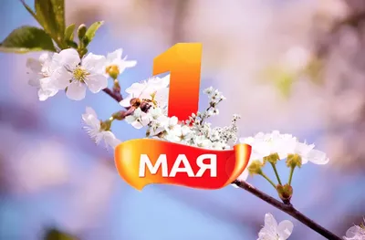 Встречаем Первомай!