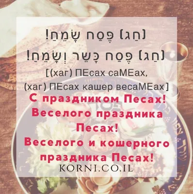 Еврейский культурный центр Ульяновска | Седер Песах