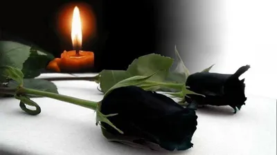 ⚰️ Купить цветы на похороны. Доставка цветов в Кривом Рогу, ритуальная  флористика, лента, надписи, доставка | «Кривріг Роза»